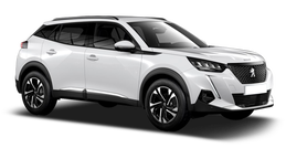 Peugeot 2008 Белый Banquis