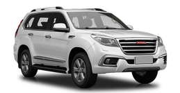 Haval H9 Благородный агат, перламутр