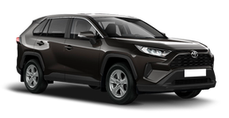 Toyota RAV4 Серо-коричневый металлик
