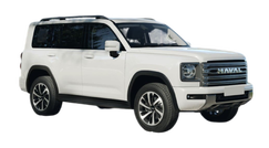 Haval H9 Снежный оникс