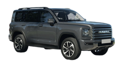 Haval H9 Атласный селенит