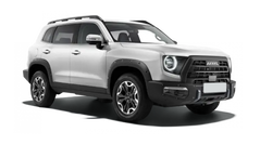 Haval Dargo X Благородный агат