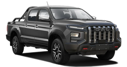 Jac T9 Серая платина