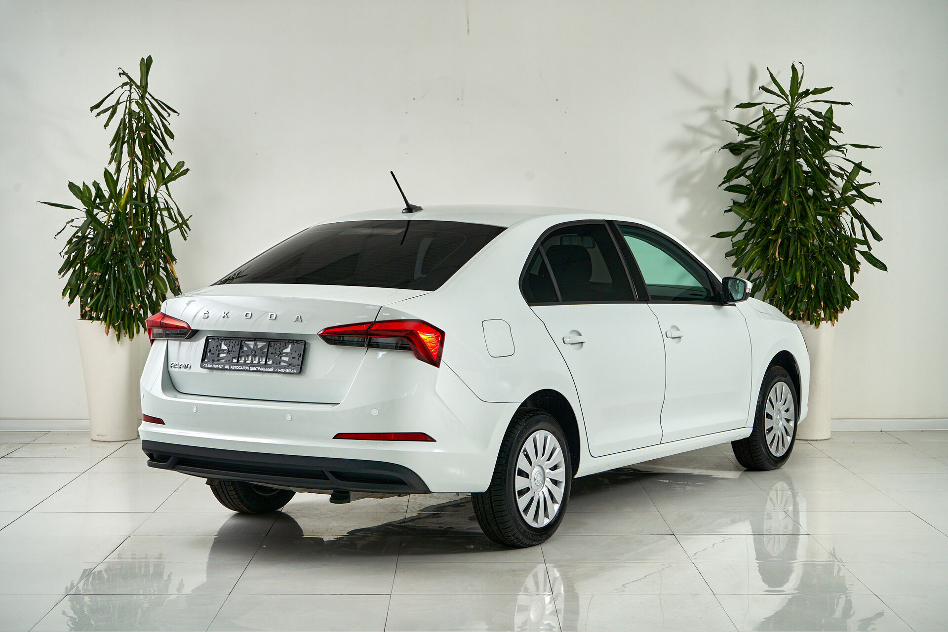 Skoda Rapid