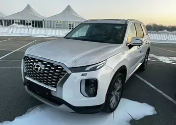 Hyundai Palisade Вид 1