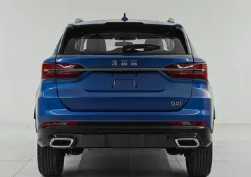 SWM G01 Вид 5