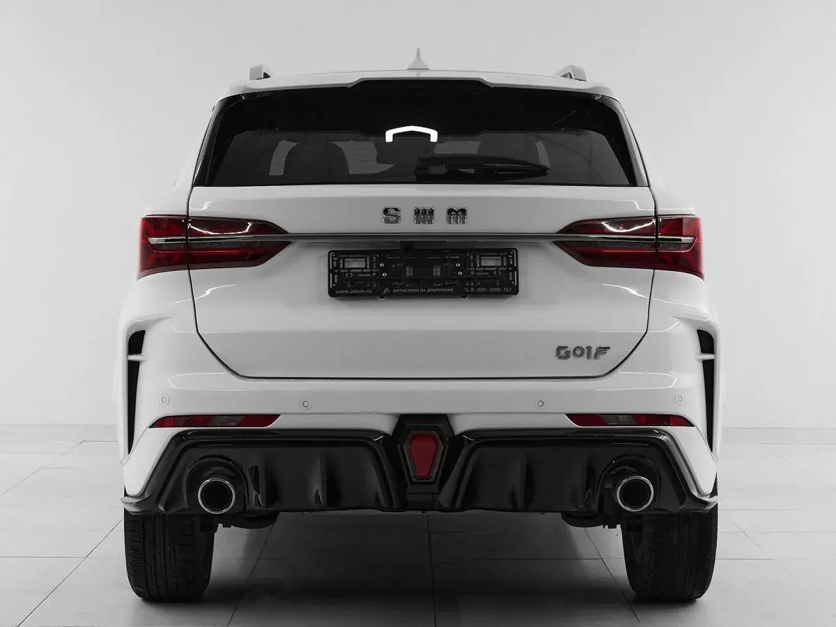 SWM G01F