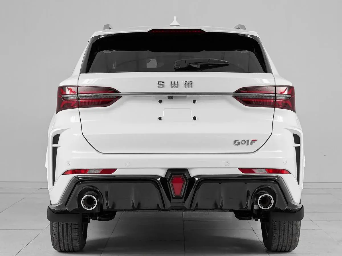 SWM G01F