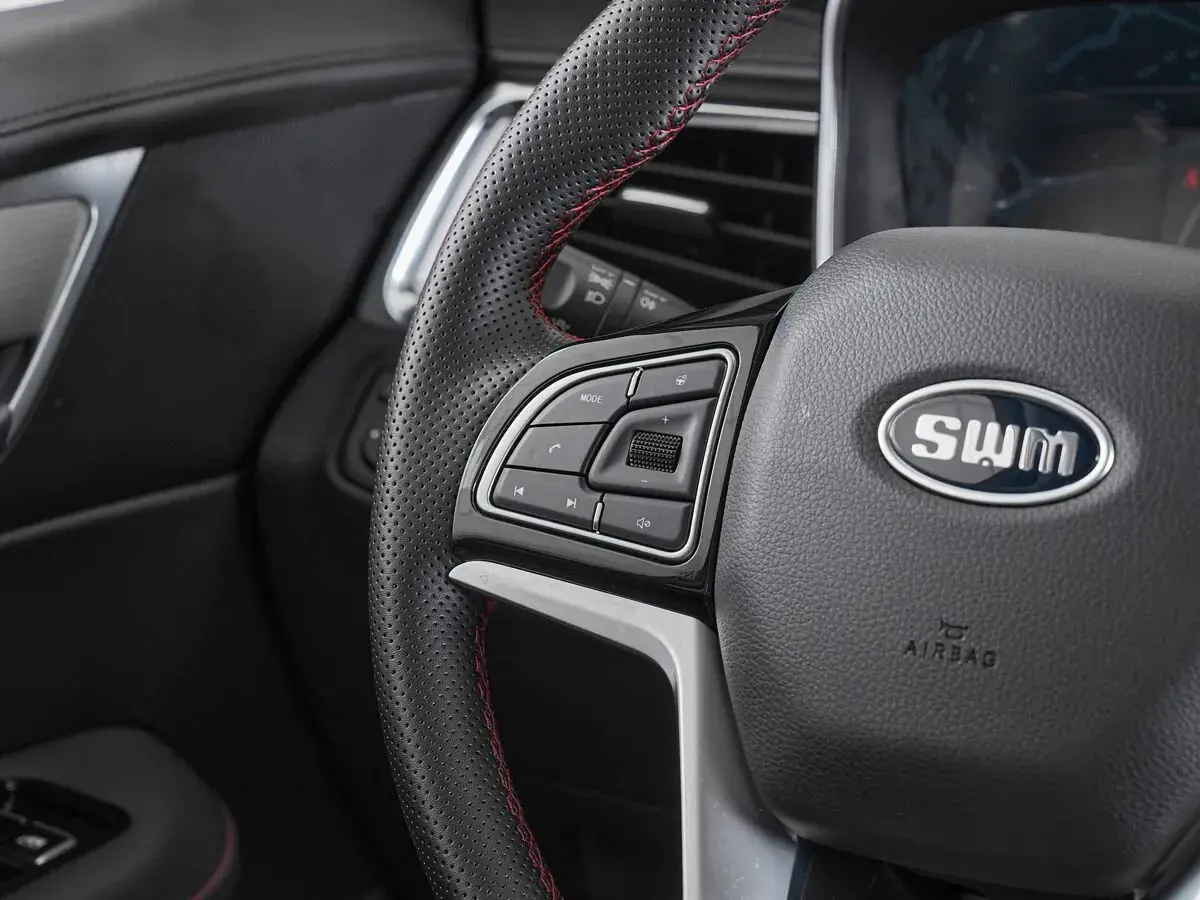SWM G01