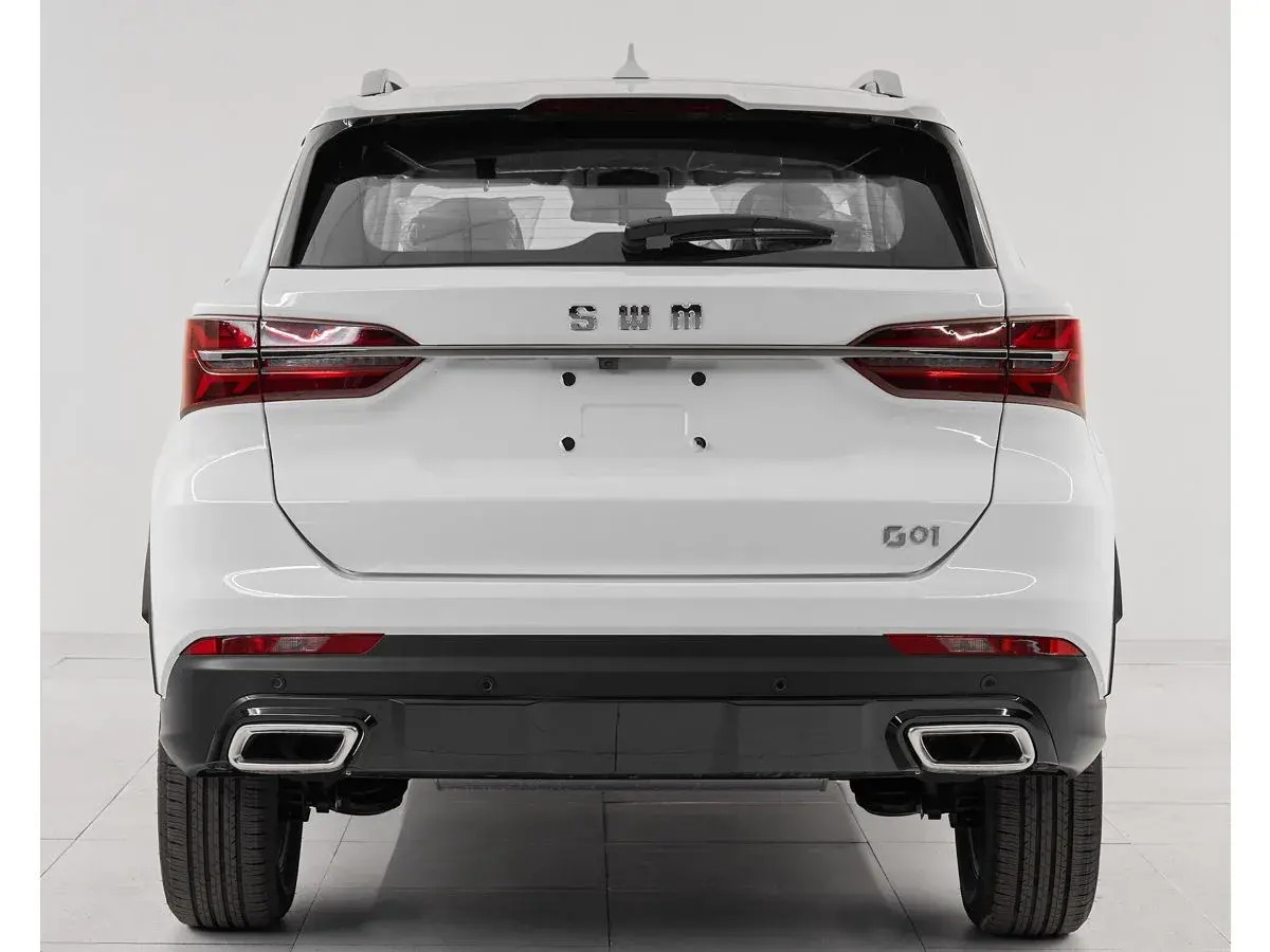 SWM G01