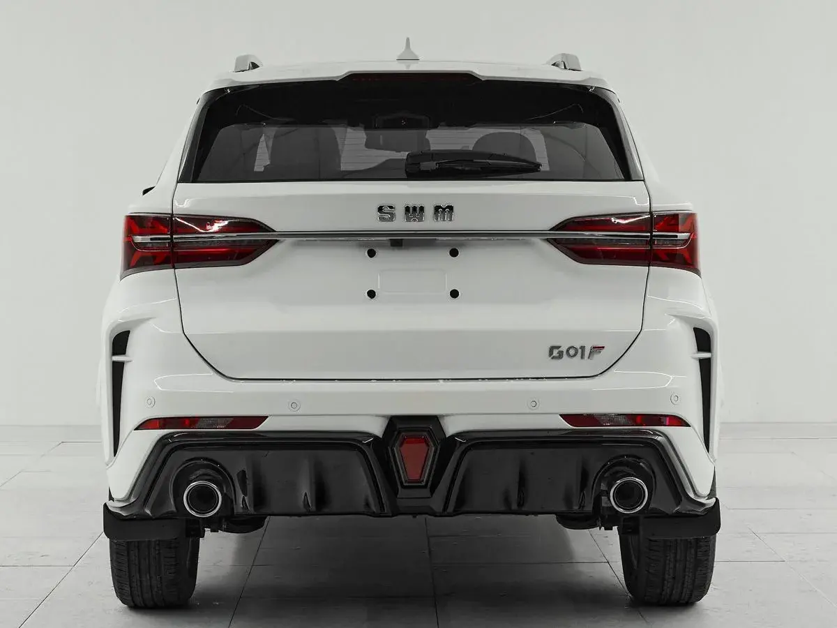 SWM G01F