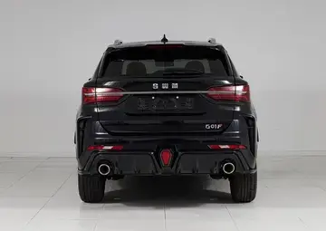 SWM G01F Вид 5