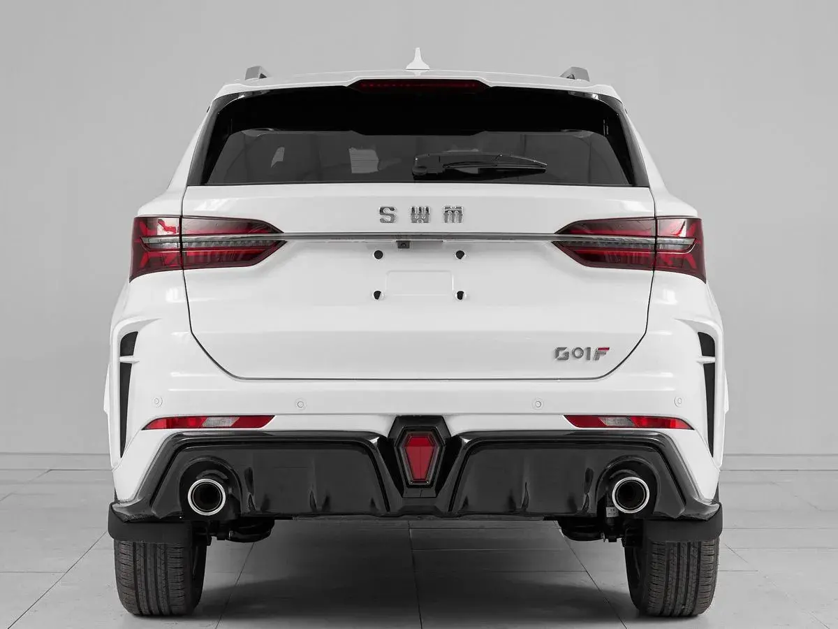 SWM G01F